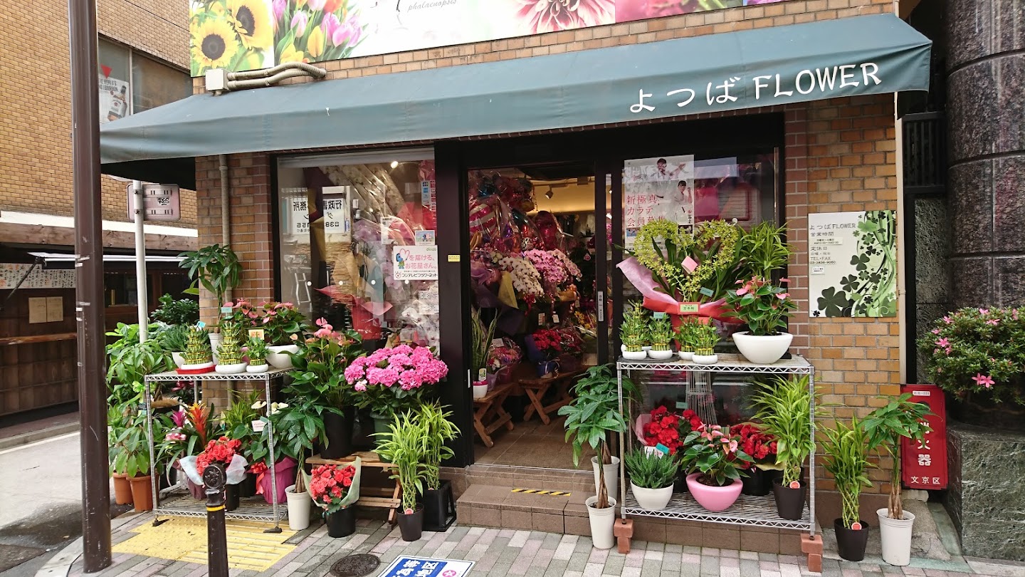 Clover Flower 東京 文京区 の花屋です