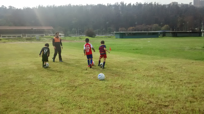 Comentarios y opiniones de Valparaíso Sporting