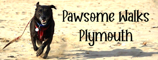 Pawsome Walks Plymouth