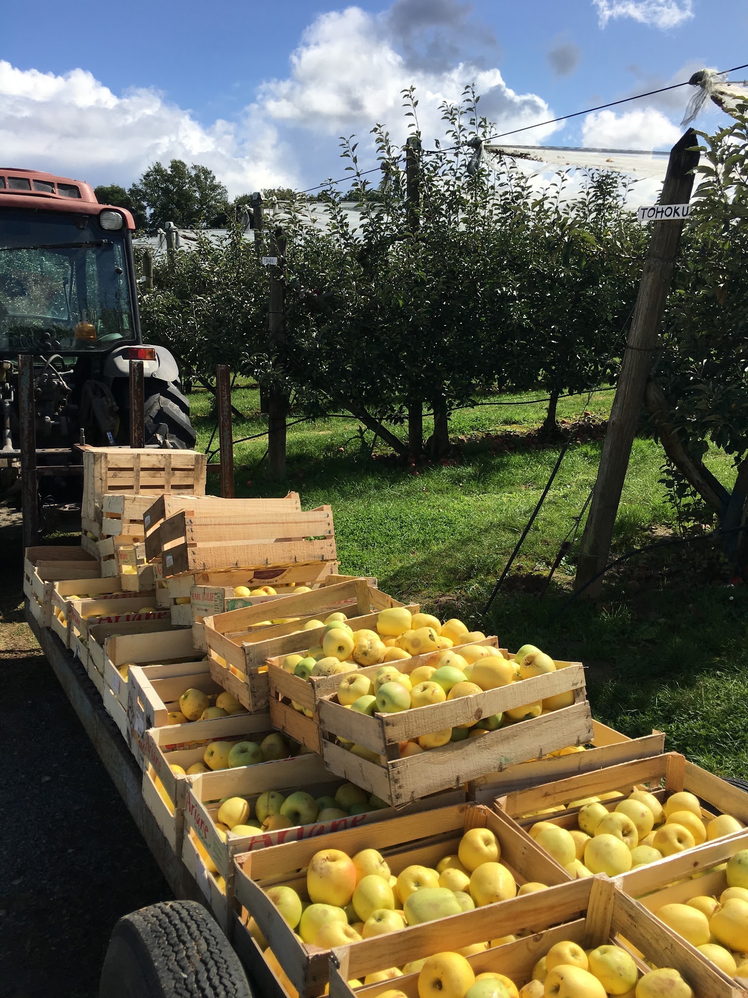Photo n° 2 de l'avis de Vincent.a fait le 11/09/2017 à 17:29