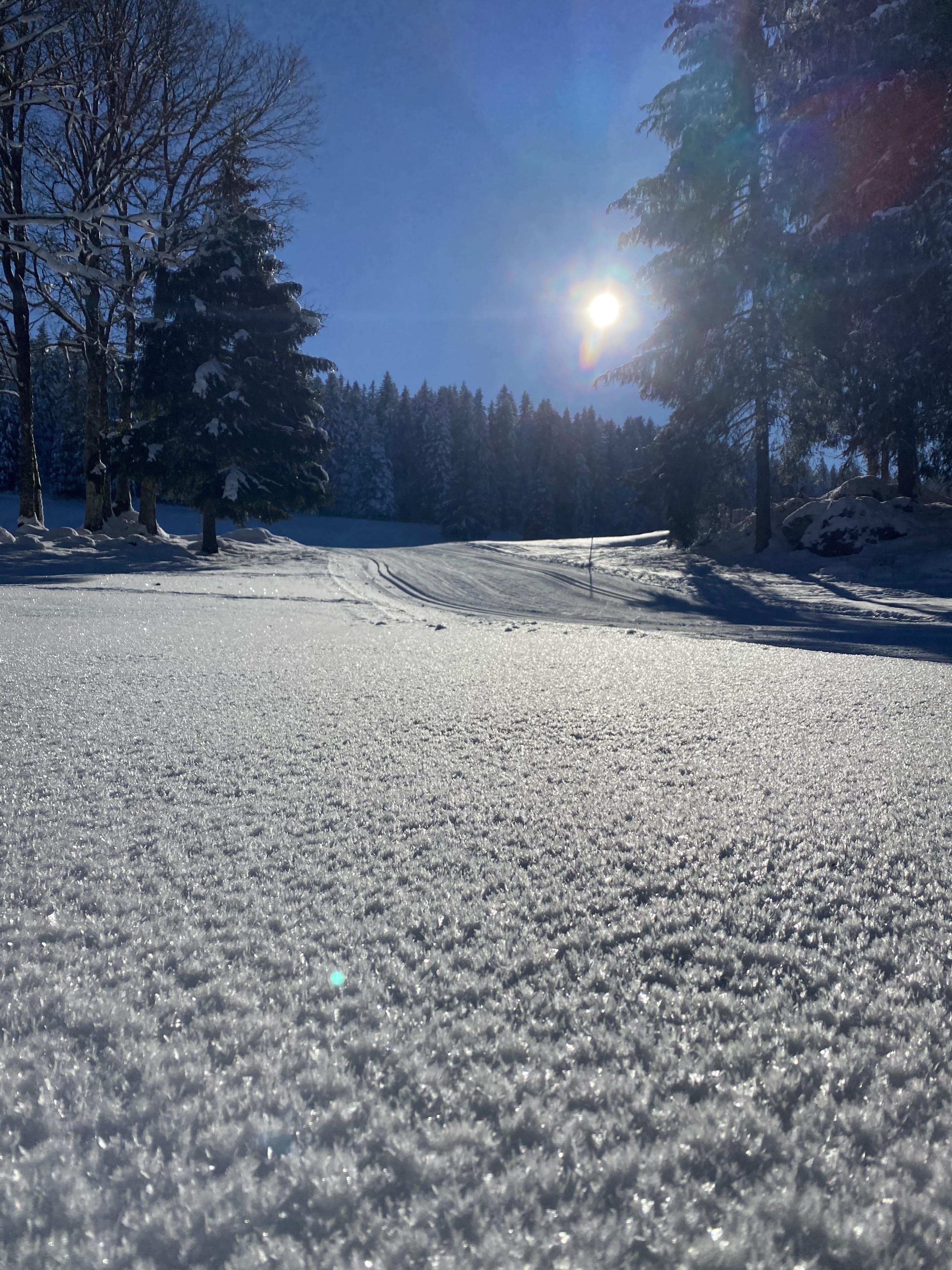 Photo n° 5 de l'avis de yas. fait le 29/12/2019 à 06:47