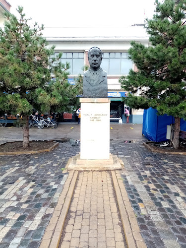 Statuia Arhitect Toma T. Socolescu - Arhitect
