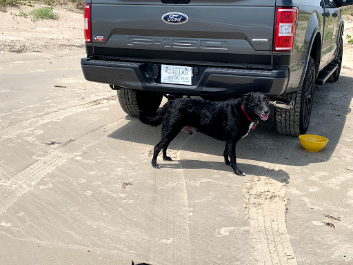 Animal Hospital «Animal Medical Corpus Christi», reviews and photos, 6822 Everhart Rd, Corpus Christi, TX 78413, USA