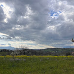 Photo n°12 de l'avis de Marina.' fait le 26/03/2024 à 10:28 sur le  Il Sauro à Faicchio