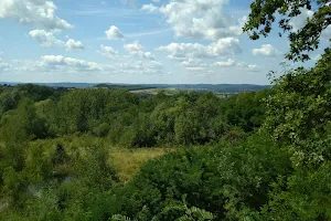 Rezerwat przyrody Skarpa Jaksmanicka image