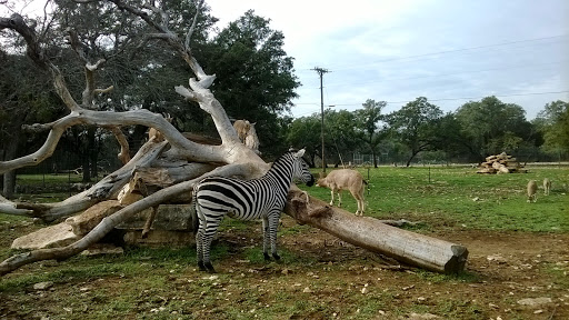 Tourist Attraction «Inner Space Cavern», reviews and photos, 4200 I-35, Georgetown, TX 78626, USA
