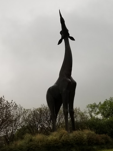 Zoo «Dallas Zoological Society», reviews and photos, 650 S R L Thornton Fwy, Dallas, TX 75203, USA