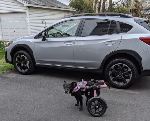 Subaru Dealer «Schaller Subaru», reviews and photos, 34 Frontage Rd, Berlin, CT 06037, USA