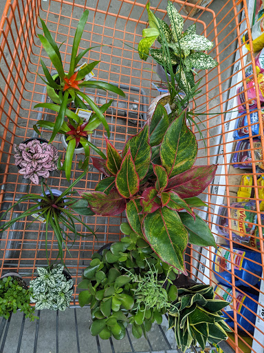 Home Improvement Store «The Home Depot», reviews and photos, 125 Industry Ln, Cockeysville, MD 21030, USA