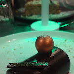 Photo n° 2 de l'avis de Audrey.u fait le 08/12/2023 à 21:52 pour Les Jardins de l'Arcardie à Lens