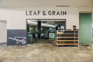 Leaf & Grain image