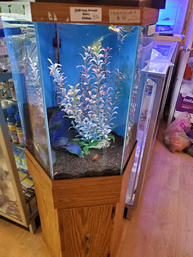 Pet Supply Store «Milwaukee Aquatics», reviews and photos, 3946 S Howell Ave, Milwaukee, WI 53207, USA