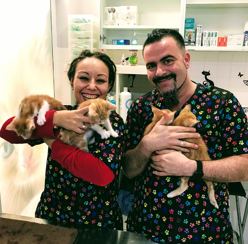 Clínica Veterinaria Lobo Gris en Alboraya