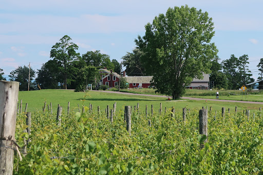 Winery «Snow Farm Vineyard & Winery», reviews and photos, 190 W Shore Rd, South Hero, VT 05486, USA