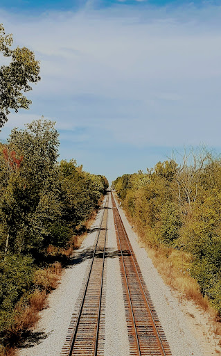 Nature Preserve «Forest Glen Woods», reviews and photos, 5420 N Forest Glen Ave, Chicago, IL 60630, USA