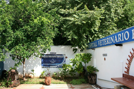 Hospital Veterinario Peninsular