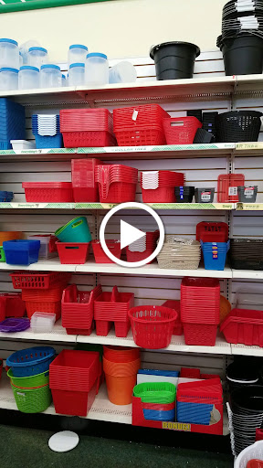 Dollar Store «Dollar Tree», reviews and photos, 100 Northeast Ave, North East, MD 21901, USA