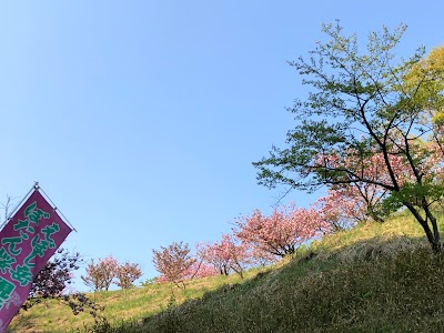 えぼし公園 第1駐車場