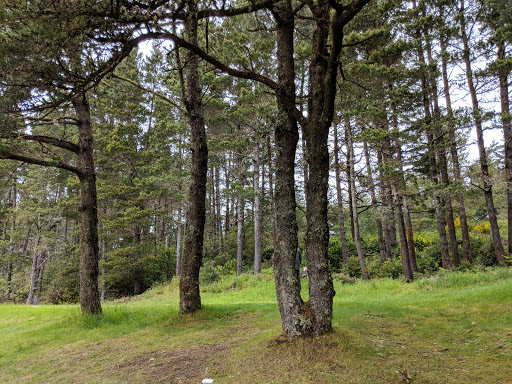 Golf Course «Ocean Dunes Golf Links», reviews and photos, 3345 Munsel Lake Rd, Florence, OR 97439, USA