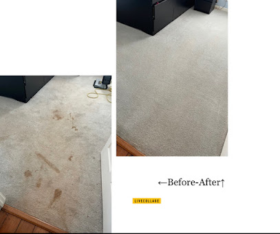 Gold Star Carpet Cleaning