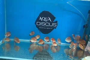 Aqua Discus India image