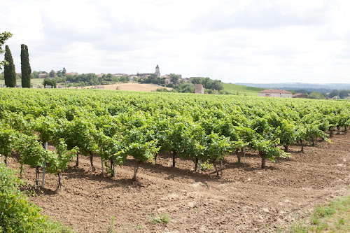 Domaine AL COUDERC à Labastide-de-Lévis