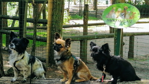 Tierarztpraxis Torsten Herrmann unter Katzenelnbogen, 