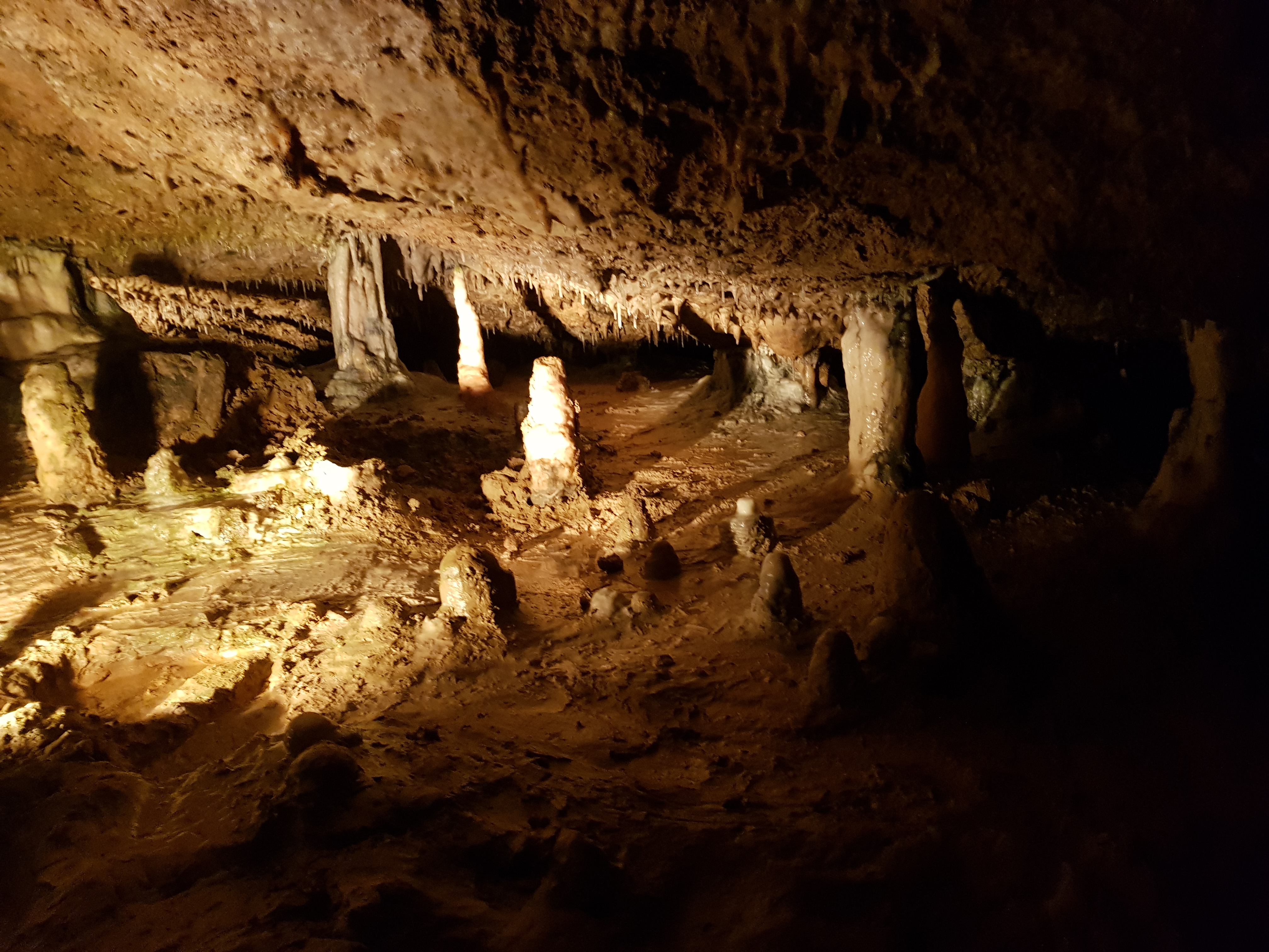 Photo n° 16 de l'avis de Jan.o fait le 05/06/2019 à 17:42