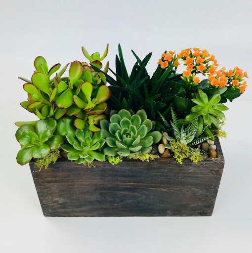 Florist «Stadium Flowers», reviews and photos, 3632 Broadway, Everett, WA 98201, USA