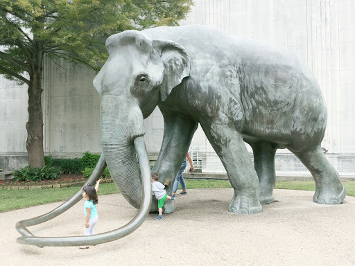 Tourist Attraction «State Fair of Texas», reviews and photos, 3921 Martin Luther King Jr Blvd, Dallas, TX 75210, USA