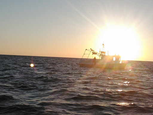 Grocery Store «Winn-Dixie», reviews and photos, 14134 US-19 #710, Hudson, FL 34667, USA