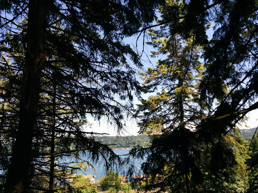 Zoo «Cougar Mountain Zoo», reviews and photos, 19525 SE 54th St, Issaquah, WA 98027, USA