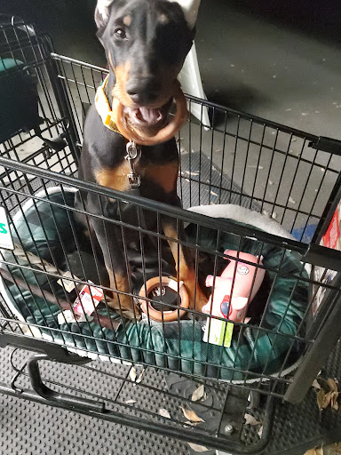 Pet Supply Store «Pet Supplies Plus», reviews and photos, 1411 S Stockton St, Lodi, CA 95240, USA