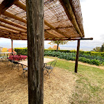 Photo n°1 de l'avis de Marco.e fait le 23/11/2019 à 21:40 sur le  Locanda Demetra & Montalcino Cooking School à Montalcino