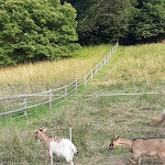 Photo n°1 de l'avis de Andrea. fait le 05/03/2020 à 11:32 sur le  Trattoria Bussi à Gavardo