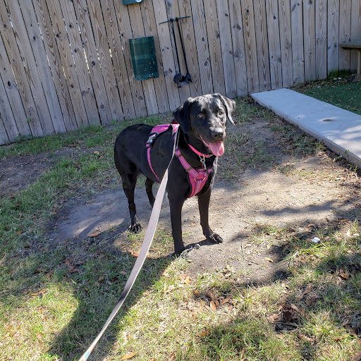 Brewery «River Rat Brewery», reviews and photos, 1231 Shop Rd, Columbia, SC 29201, USA