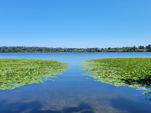 Park «Green Lake Park», reviews and photos, 7201 East Green Lake Dr N, Seattle, WA 98115, USA