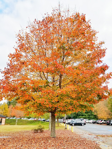 Park «Big Creek Park», reviews and photos, 1600 Old Alabama Rd, Roswell, GA 30076, USA