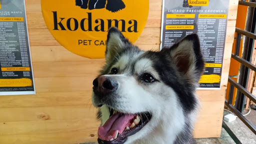 Kodama Pet Care