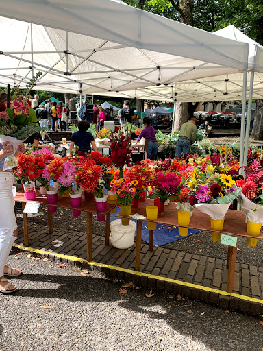 Park «South Park Blocks», reviews and photos, SW Park Ave, Portland, OR 97204, USA