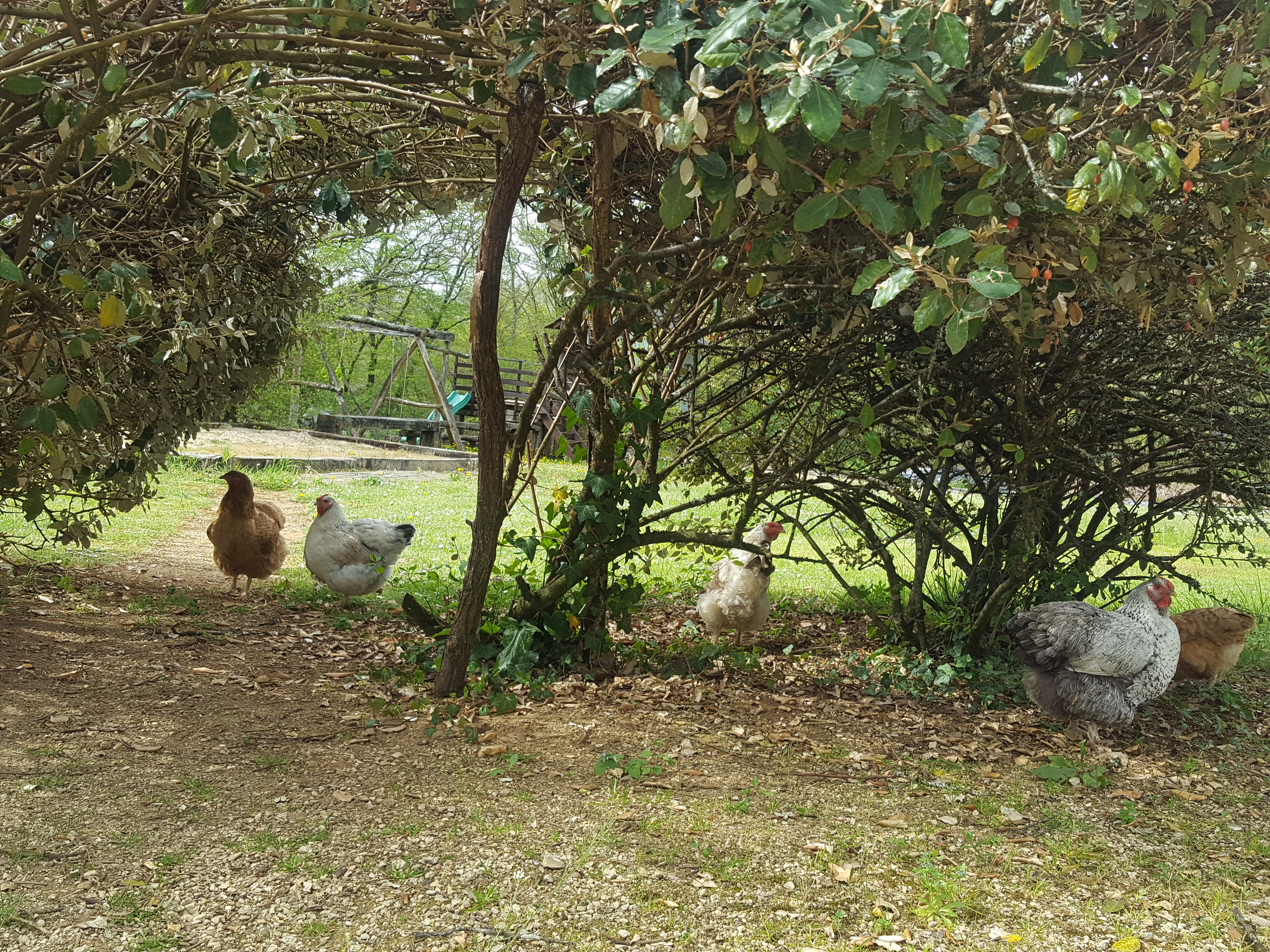 Photo n° 7 de l'avis de Emma. fait le 15/05/2019 à 06:21
