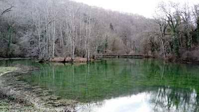 Étang de la Roche à Touillon