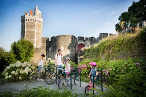 Castle of Oudon - Loire Scene image