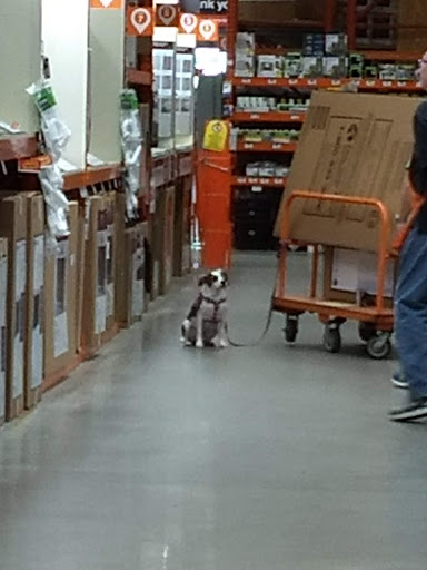 Home Improvement Store «The Home Depot», reviews and photos, 116 Walker Ave, West Berlin, NJ 08091, USA