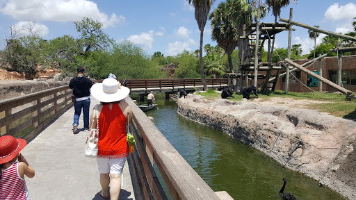 Zoo «Gladys Porter Zoo», reviews and photos, 500 E Ringgold St, Brownsville, TX 78520, USA
