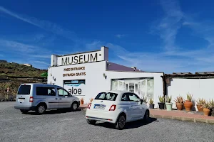 Museo de Aloe de Lanzarote image