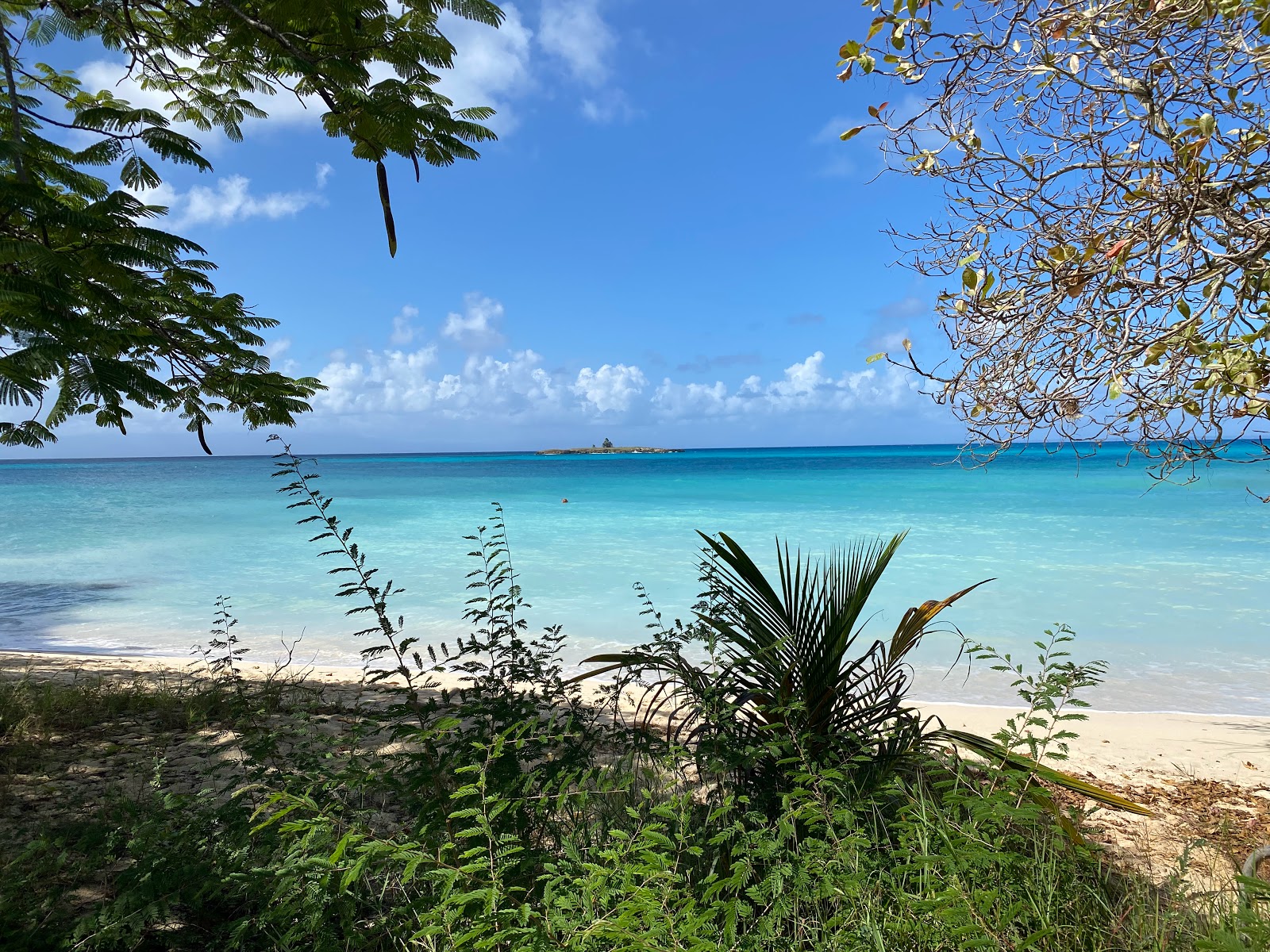 Zdjęcie Marie Galante beach położony w naturalnym obszarze