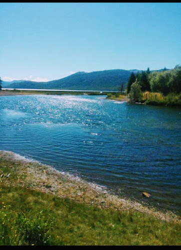 Camping nacimiento río Biobío - Camping