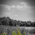 Photo n°4 de l'avis de Thomas.c fait le 09/08/2020 à 18:15 sur le  Pizzeria Klein Sizilien à Holzheim