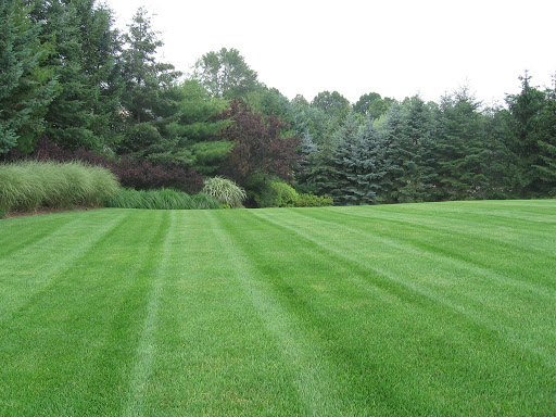 Landscaper «Horizon Landscape Company», reviews and photos, 411 W Main St, Wyckoff, NJ 07481, USA